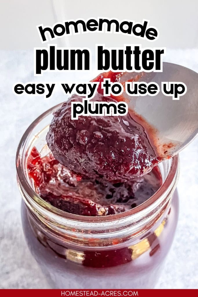A spoonful of thick slow-cooker plum butter held above an open jar. Text reads "Homemade plum butter easy way to use up plums".