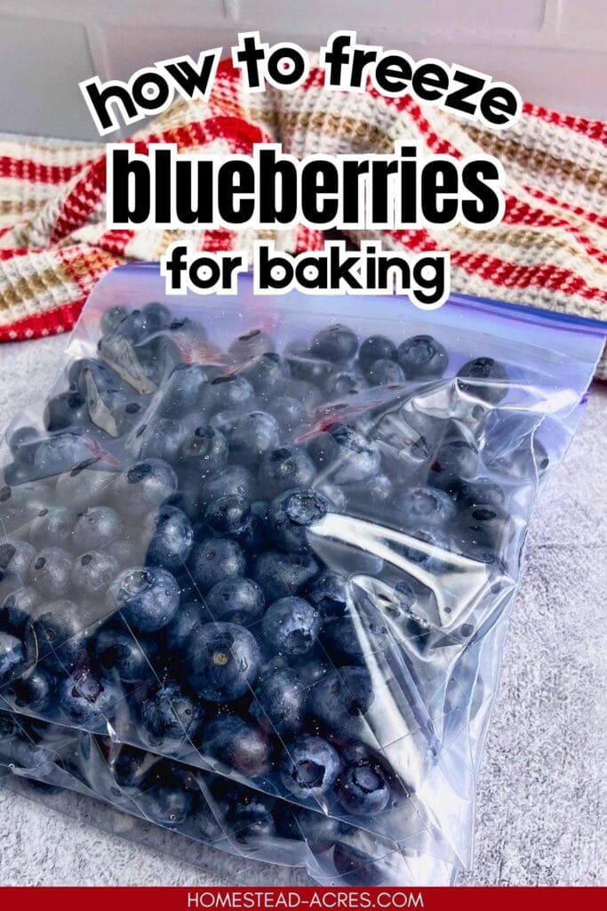 Clear freezer bag filled with blueberries on a gray surface with a red and white kitchen towel in the background. Text reads "how to freeze blueberries for baking".