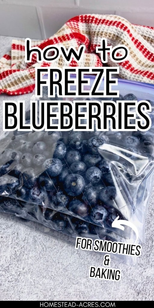 Clear freezer bag filled with blueberries on a gray surface with a red and white kitchen towel in the background. Text reads "how to FREEZE BLUEBERRIES" and "FOR SMOOTHIES & BAKING".
