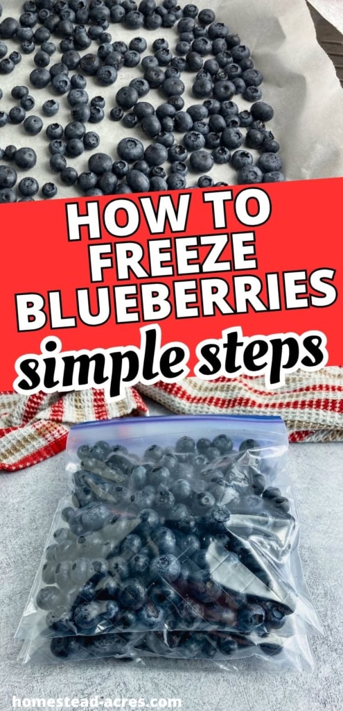 Collage image showing fresh blueberries spread on parchment paper above a clear freezer bag filled with blueberries. Text reads "HOW TO FREEZE BLUEBERRIES simple steps".