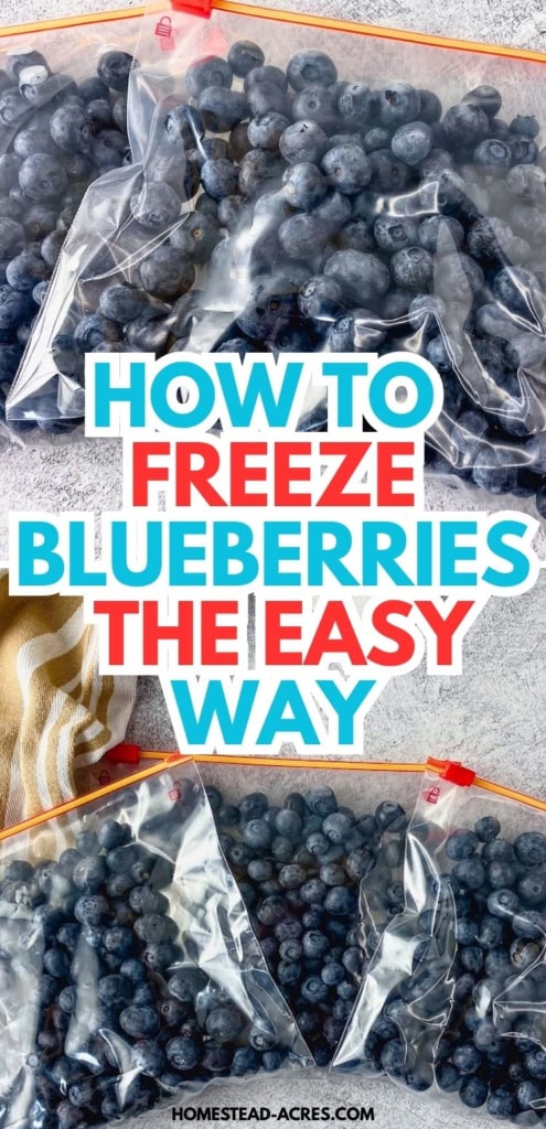 Collage image showing fresh blueberries portioned into clear freezer bags and spread across a gray surface. Text reads "HOW TO FREEZE BLUEBERRIES THE EASY WAY".