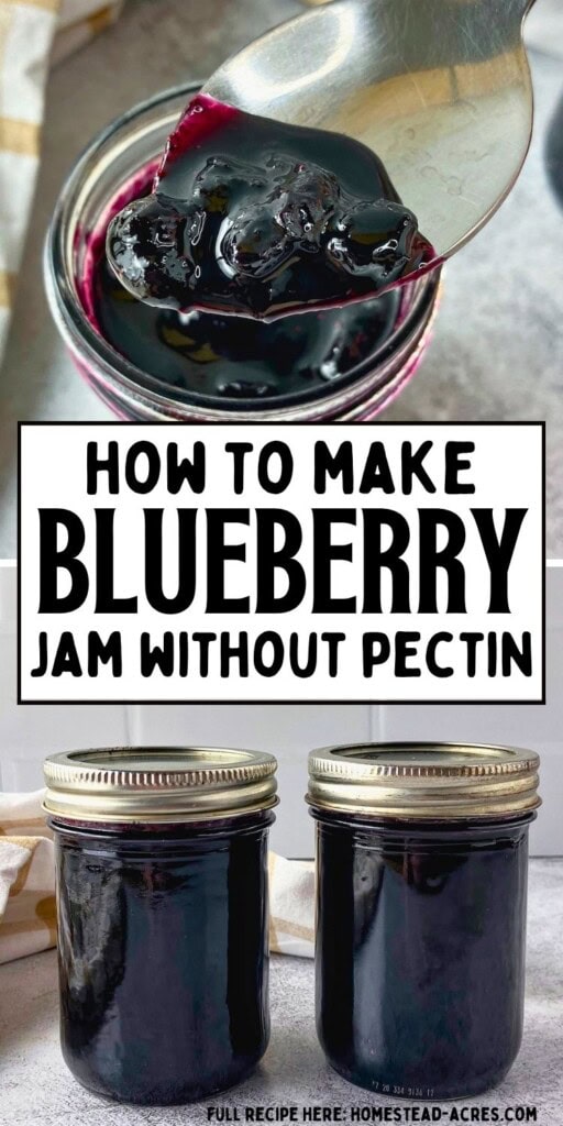 Spoon lifting thick blueberry jam from a jar above two sealed jars of jam on a gray counter. Text reads "How to make blueberry jam without pectin".