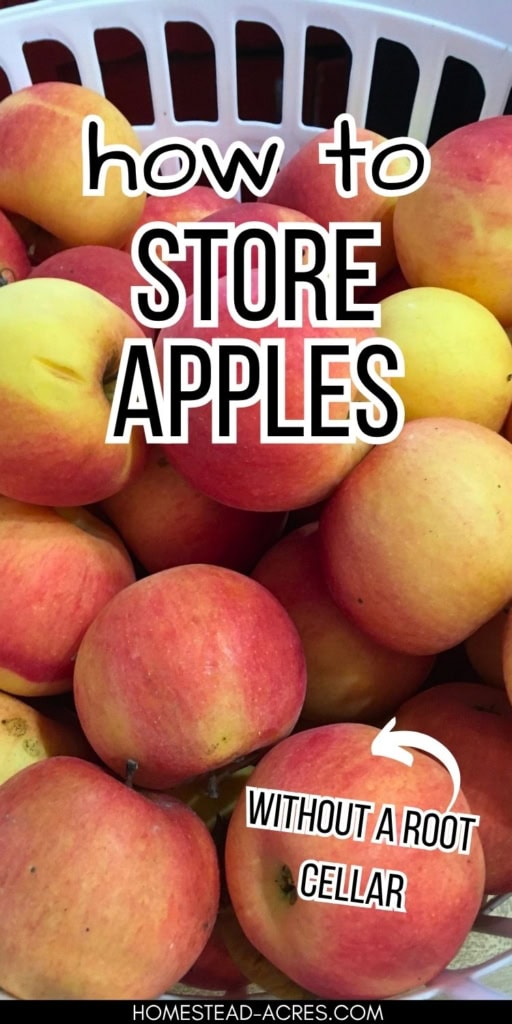 Basket full of red and yellow apples with text about storing apples without a root cellar. Text reads "how to store apples" and "without a root cellar".