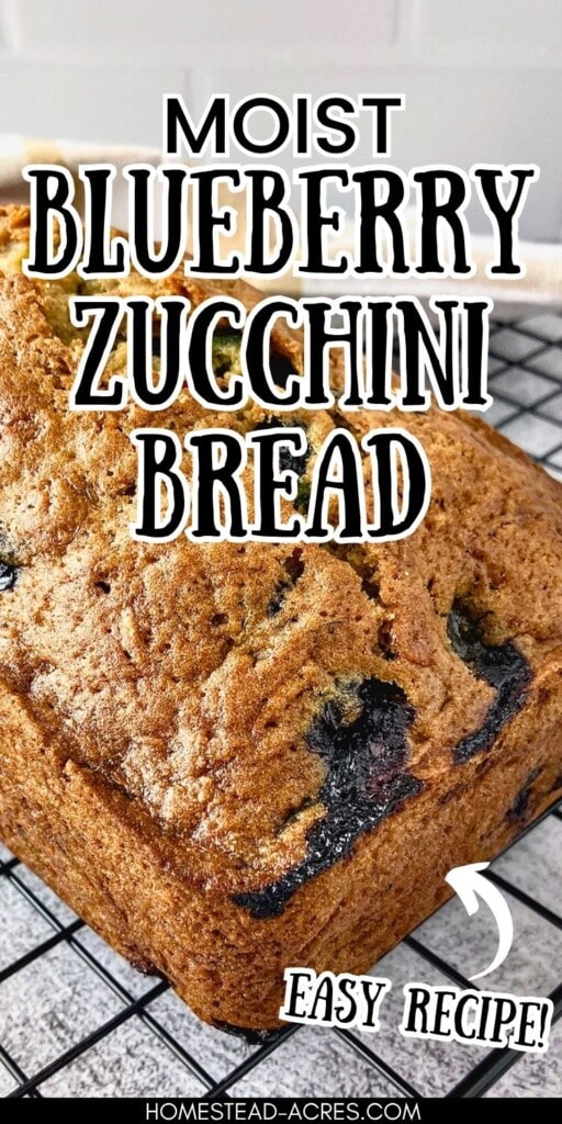 Loaf of moist blueberry zucchini bread cooling on a wire rack with blueberries baked into the golden crust. Text reads "Moist blueberry zucchini bread" and "easy recipe".