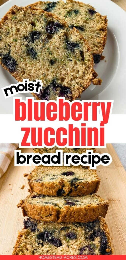 Slices of moist blueberry zucchini bread with blueberries and flecks of zucchini throughout. Text reads "moist blueberry zucchini bread recipe".