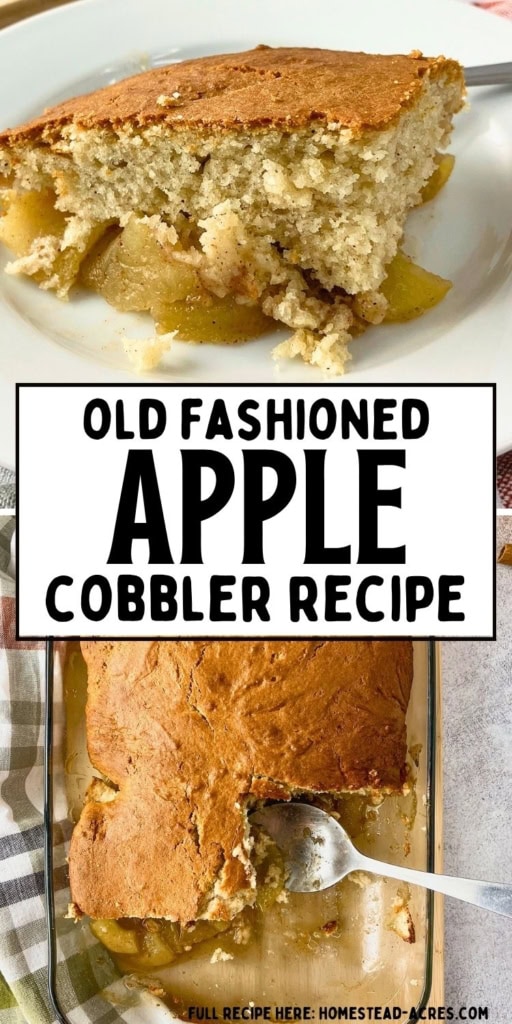 Collage style graphic for an apple cobbler recipe showing a close up slice of golden brown apple cobbler on a white plate at the top and the rest of the cobbler in a glass baking dish with a serving spoon at the bottom. Text on the graphic reads "OLD FASHIONED APPLE COBBLER RECIPE".