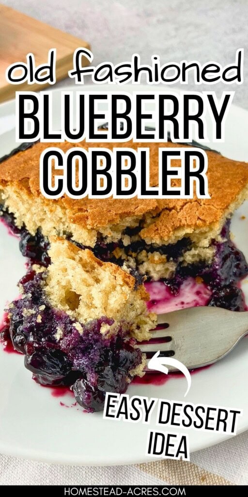 Slice of old fashioned blueberry cobbler on a white plate with a forkful of cake topping and juicy blueberry filling. Text reads "old fashioned blueberry cobbler" and "easy dessert idea".