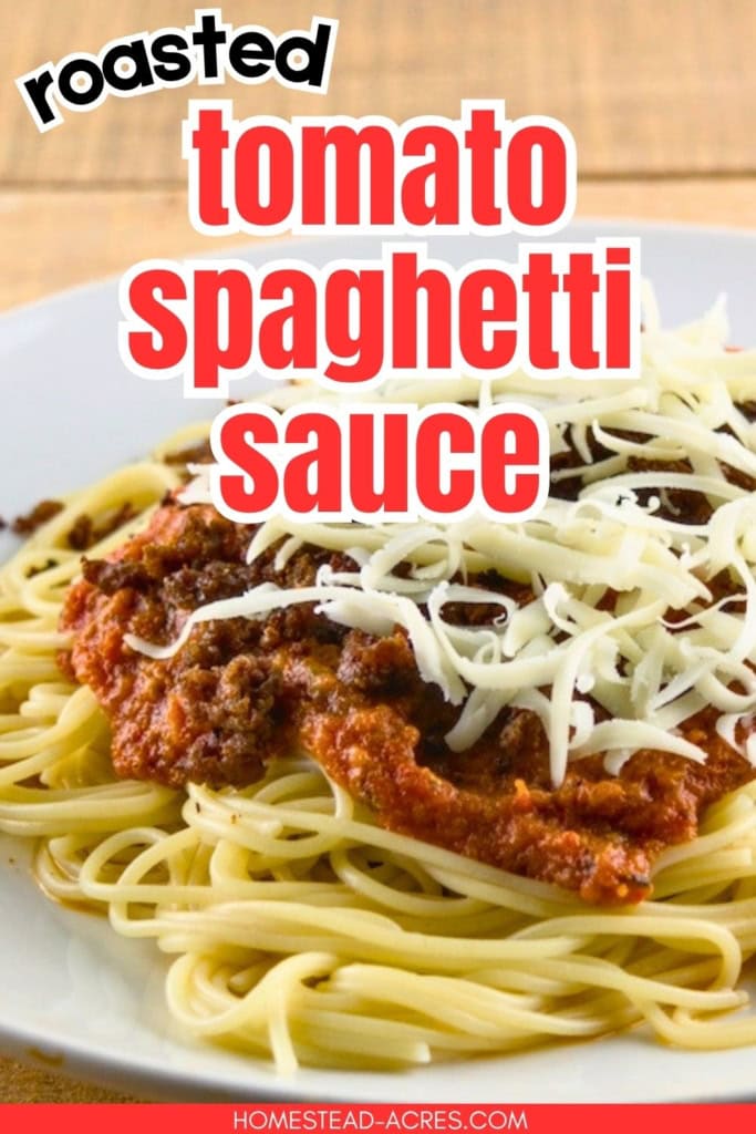 Plate of spaghetti topped with chunky roasted spaghetti sauce and shredded cheese. The text reads "roasted tomato spaghetti sauce".