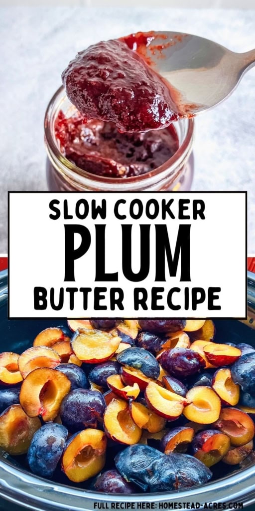 Collage showing a spoonful of thick slow cooker plum butter above halved and pitted plums in a slow cooker. Text reads "SLOW COOKER PLUM BUTTER RECIPE".