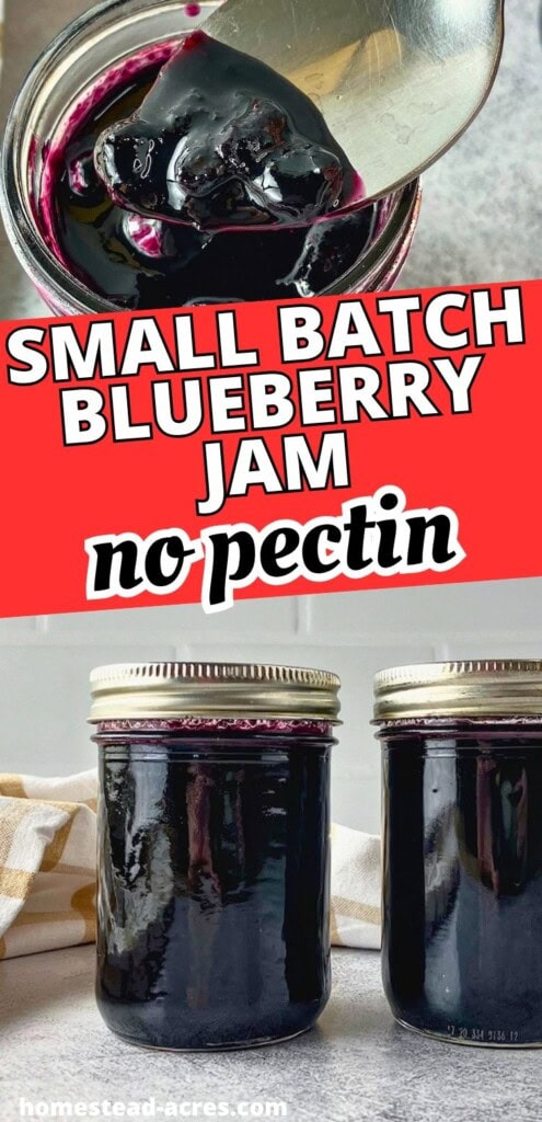 Small batch blueberry jam in jars with a spoon lifting thick jam from the top. Text reads "Small batch blueberry jam no pectin".