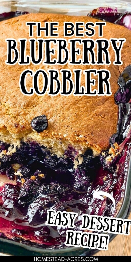 Blueberry cobbler with a golden baked topping and glossy blueberry filling scooped from the corner. Text reads "The best blueberry cobbler" and "easy dessert recipe".