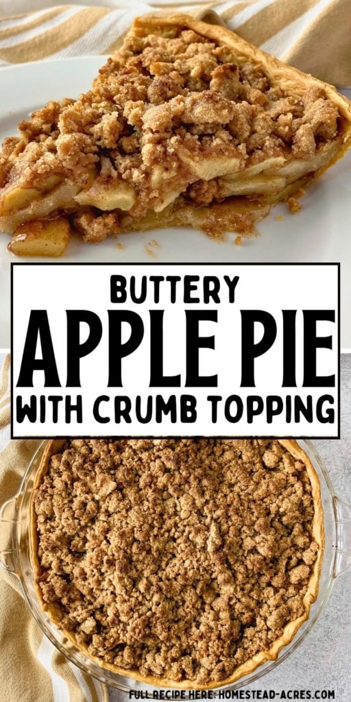 Slice of buttery apple pie with cinnamon apple filling and a thick golden crumb topping shown above a whole pie. Text reads "Buttery apple pie with crumb topping".