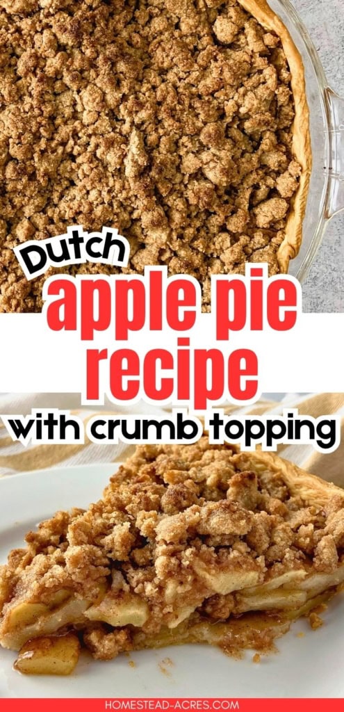 Whole Dutch apple pie covered with a golden crumb topping shown above a slice filled with cinnamon apples. Text reads "Dutch apple pie recipe with crumb topping".