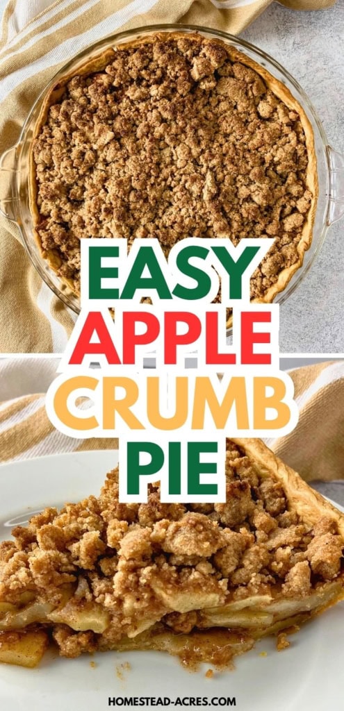 Whole apple crumb pie with a golden streusel topping shown above a slice filled with cinnamon apples on a white plate. Text reads "Easy apple crumb pie".