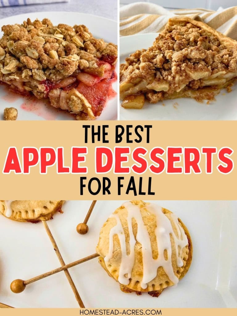 Collage of fall apple desserts showing cranberry apple crisp with oat topping. A slice of crumb topped apple pie and a glazed hand pie are shown beside it. Text reads "THE BEST APPLE DESSERTS FOR FALL".