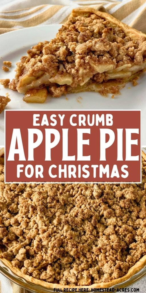 Slice of crumb topped apple pie with cinnamon apple filling shown above a whole pie covered in golden streusel. Text reads "Easy crumb apple pie for Christmas".