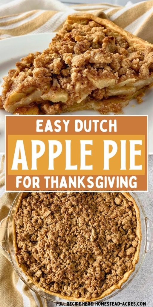Slice of Dutch apple pie with cinnamon apple filling and a thick crumb topping shown above a whole crumb topped pie. Text reads "Easy Dutch apple pie for Thanksgiving".