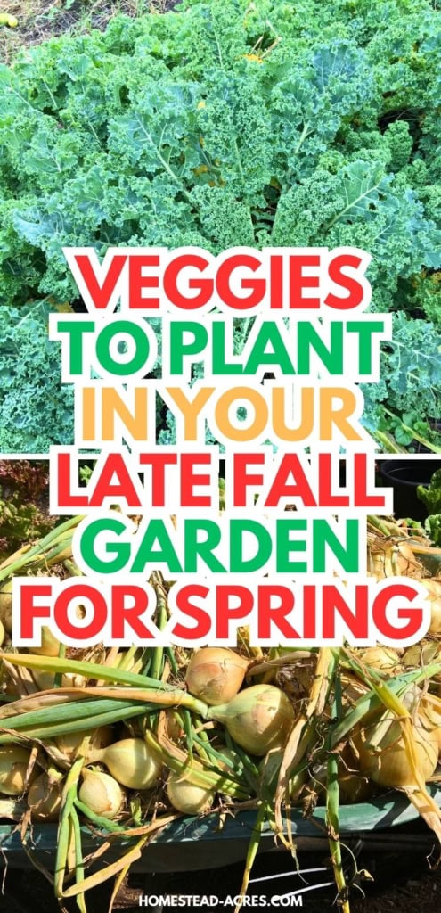 Collage of curly green kale and freshly harvested yellow onions. Text reads "VEGGIES TO PLANT IN YOUR LATE FALL GARDEN FOR SPRING".