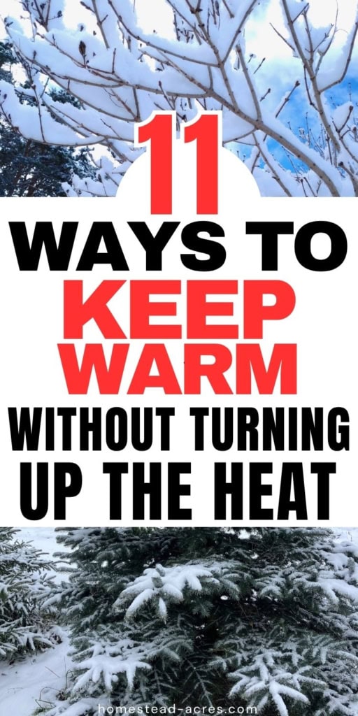 Snow covered evergreen trees and bare branches frame a winter scene behind a large white text panel. Title text reads "11 WAYS TO KEEP WARM WITHOUT TURNING UP THE HEAT".