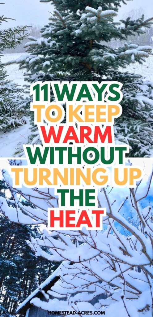 Snow covered evergreen trees and bare branches surround a winter landscape with a house partly visible in the background. Title text reads "11 WAYS TO KEEP WARM WITHOUT TURNING UP THE HEAT".