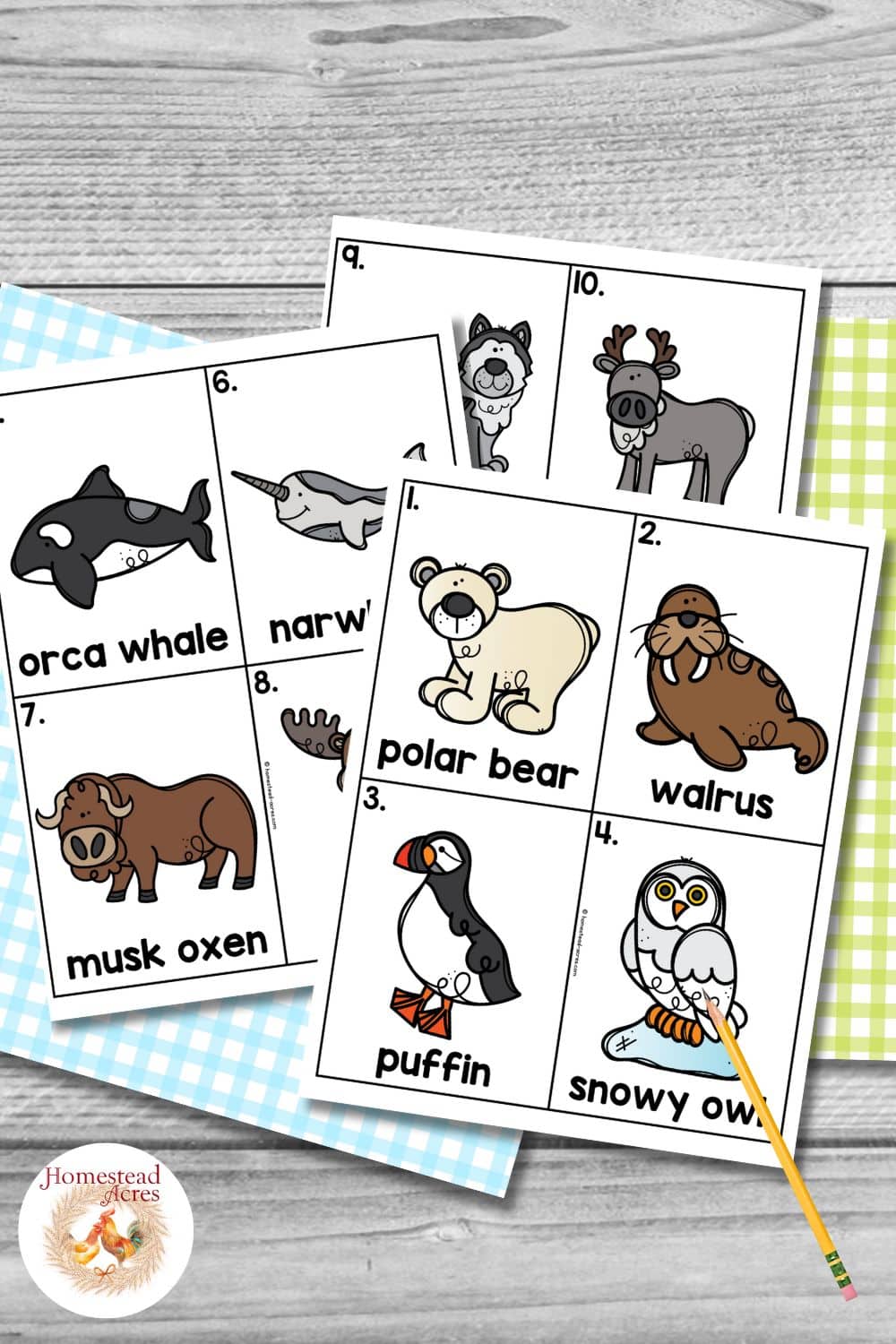 Colorful Arctic animal cards are layered on blue and green gingham paper over a gray wood background with a yellow pencil beside them. The printable cards feature cartoon Arctic wildlife for a write the room activity.
