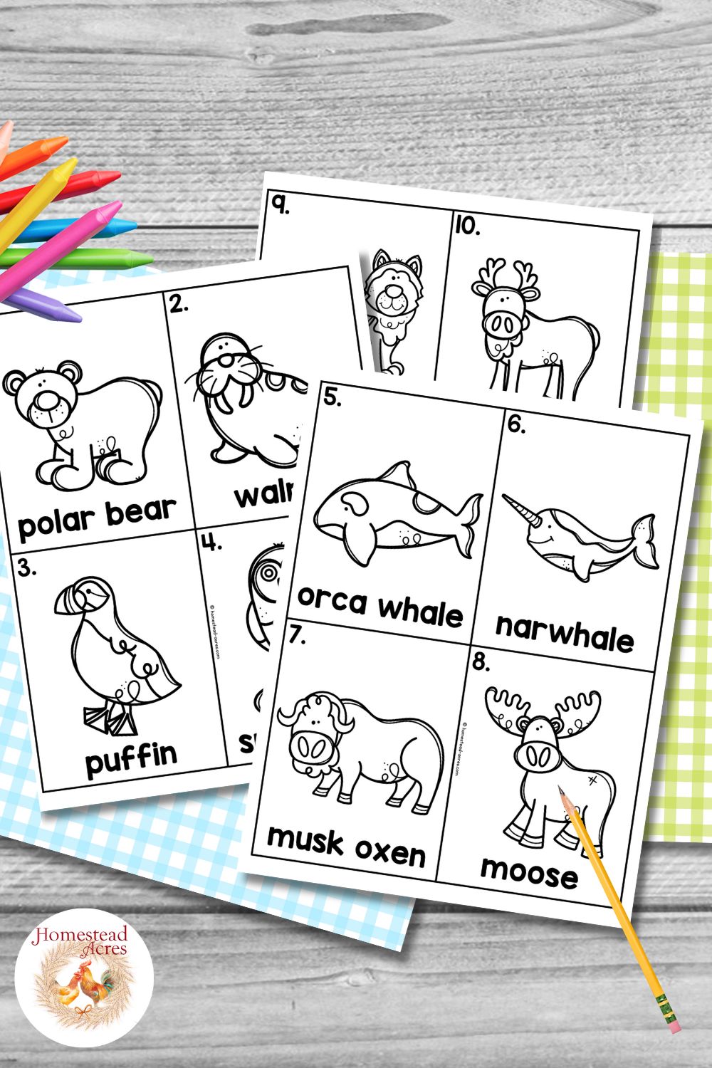 Black and white Arctic animal cards are layered on blue and green gingham paper with colorful crayons and a pencil on a gray wood background. The cards feature simple cartoon illustrations of Arctic wildlife for a printable matching or write the room activity.