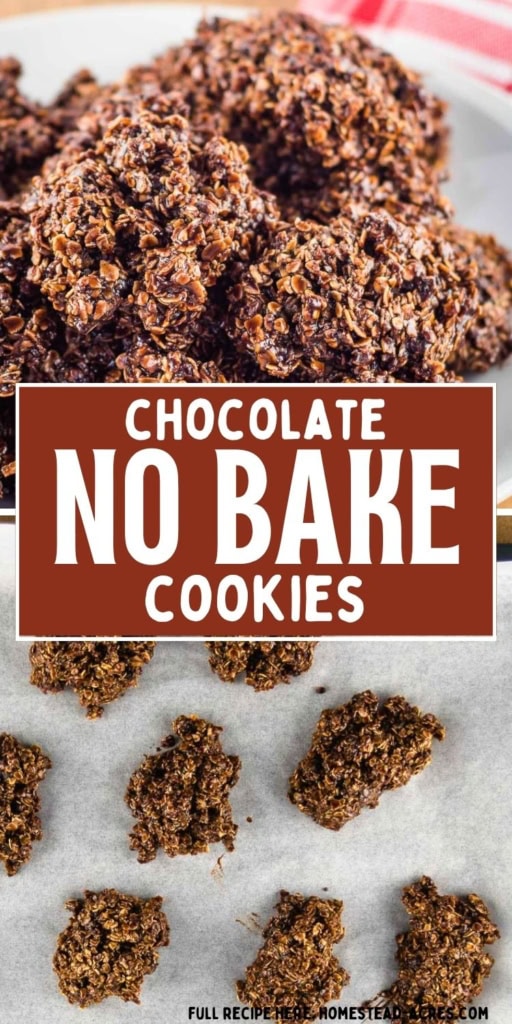 Chocolate no bake cookies made with oats are piled on a white plate and portioned onto parchment paper below. Title text reads "CHOCOLATE NO BAKE COOKIES".