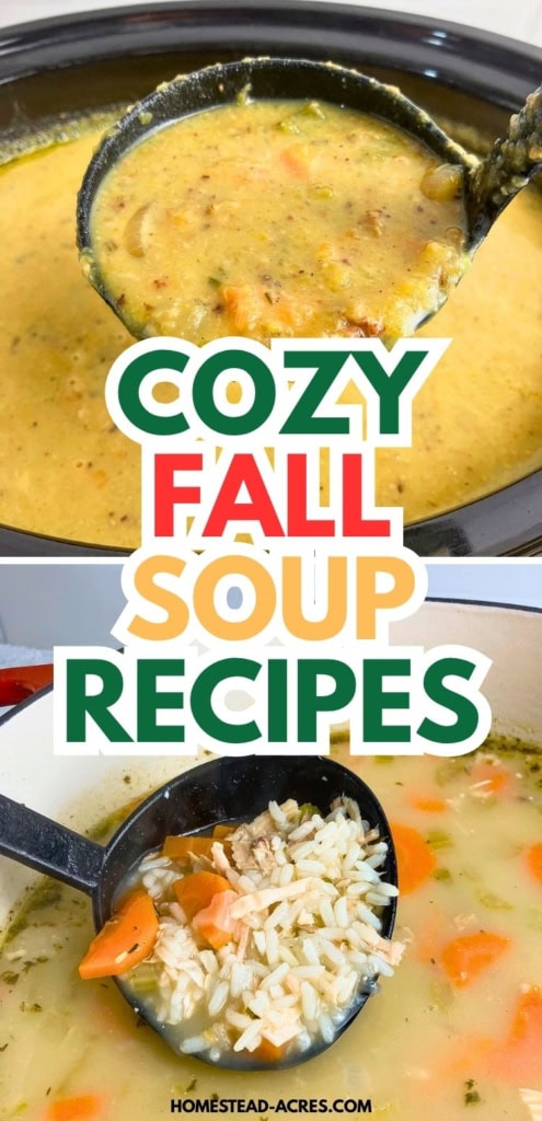 Two cozy fall soups are shown with ladles lifting creamy potato vegetable soup and turkey and rice soup with carrots and celery. Title text reads "COZY FALL SOUP RECIPES".