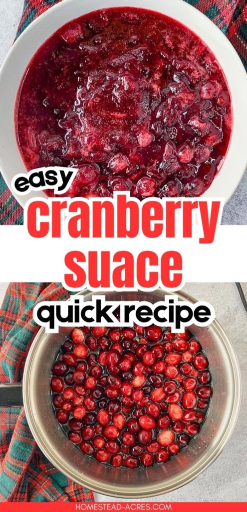 Homemade cranberry sauce with whole berries is shown finished in a white bowl above fresh cranberries in a saucepan. Title text reads "easy cranberry sauce quick recipe".