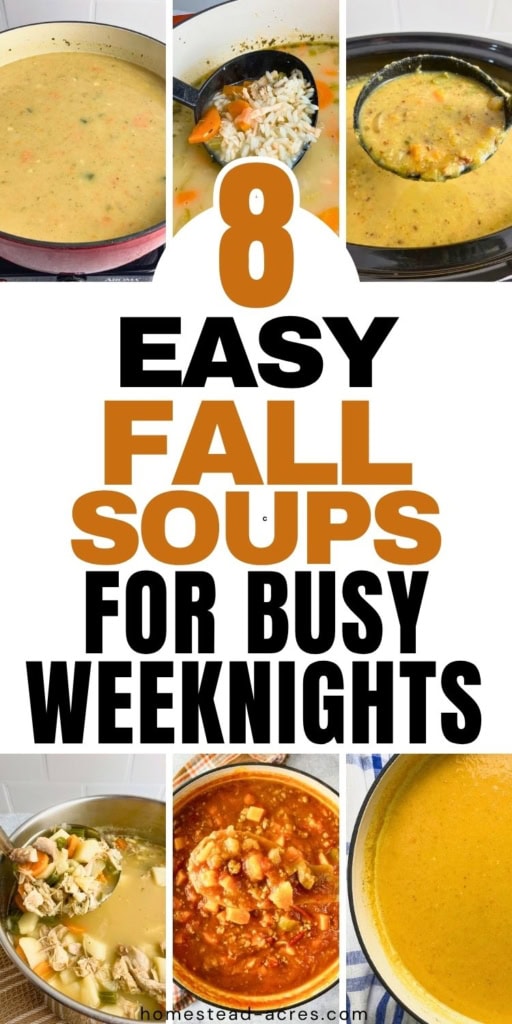 Collage of six comforting fall soups, including creamy vegetable soup, turkey and rice soup, chunky sweet potato chili, and squash soup. Title text reads "8 EASY FALL SOUPS FOR BUSY WEEKNIGHTS".