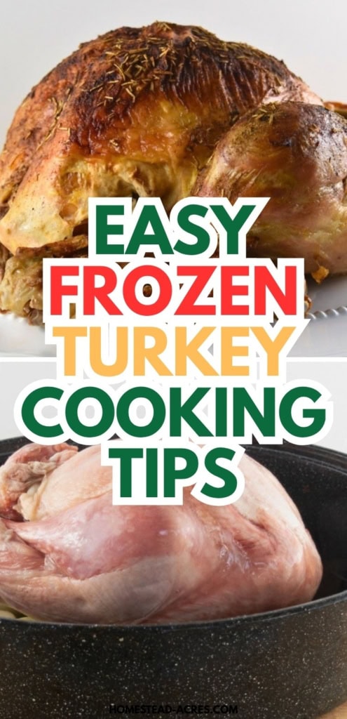 A finished roasted turkey with browned seasoned skin is shown above a frozen turkey in a roasting pan. Title text reads "EASY FROZEN TURKEY COOKING TIPS".