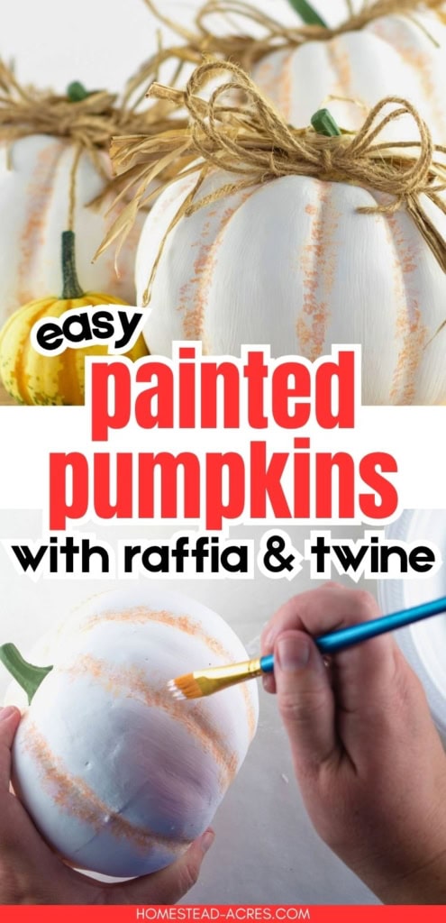 White painted pumpkins with soft orange distressing and rustic raffia and twine bows are shown above hands brushing paint onto another pumpkin. Title text reads "easy painted pumpkins with raffia and twine".