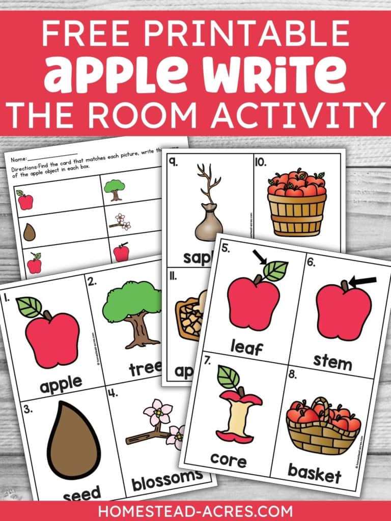 Free printable apple write the room activity with recording worksheets and vocabulary cards for apple, tree, seed, blossoms, leaf, stem, core, basket, sapling, bushel, and apple pie. Text reads "FREE PRINTABLE APPLE WRITE THE ROOM ACTIVITY".