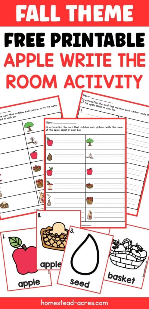 Fall themed free printable apple write the room activity with recording worksheets and vocabulary cards for apple, apple pie, seed, basket, tree, blossoms, apple core, sapling, bushel, and apple cider. Text reads "FALL THEME FREE PRINTABLE APPLE WRITE THE ROOM ACTIVITY".
