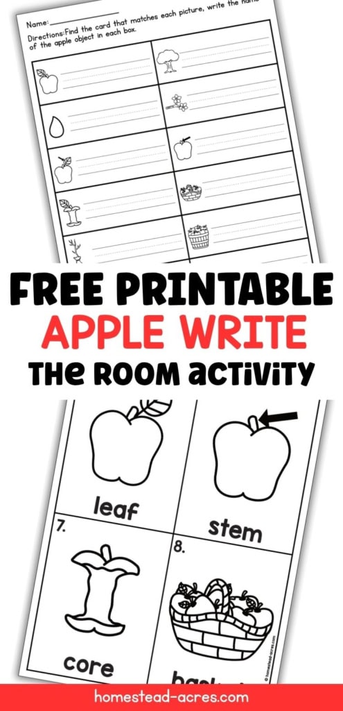 Free printable apple write the room activity with a black and white recording worksheet and vocabulary cards for leaf, stem, core, and basket. Text reads "FREE PRINTABLE APPLE WRITE THE ROOM ACTIVITY".