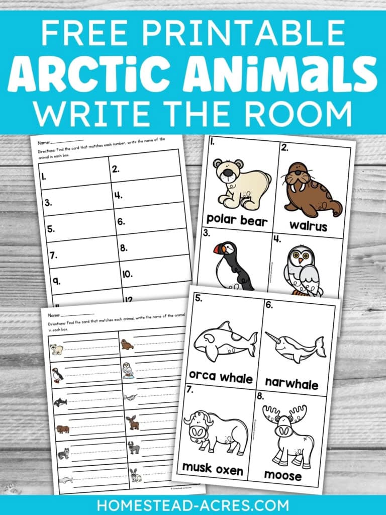 Free printable Arctic animals write the room activity with animal cards and recording worksheets featuring polar wildlife such as a polar bear, walrus, puffin, owl, orca whale, narwhal. musk oxen. and moose. Title text reads "FREE PRINTABLE ARCTIC ANIMALS WRITE THE ROOM".
