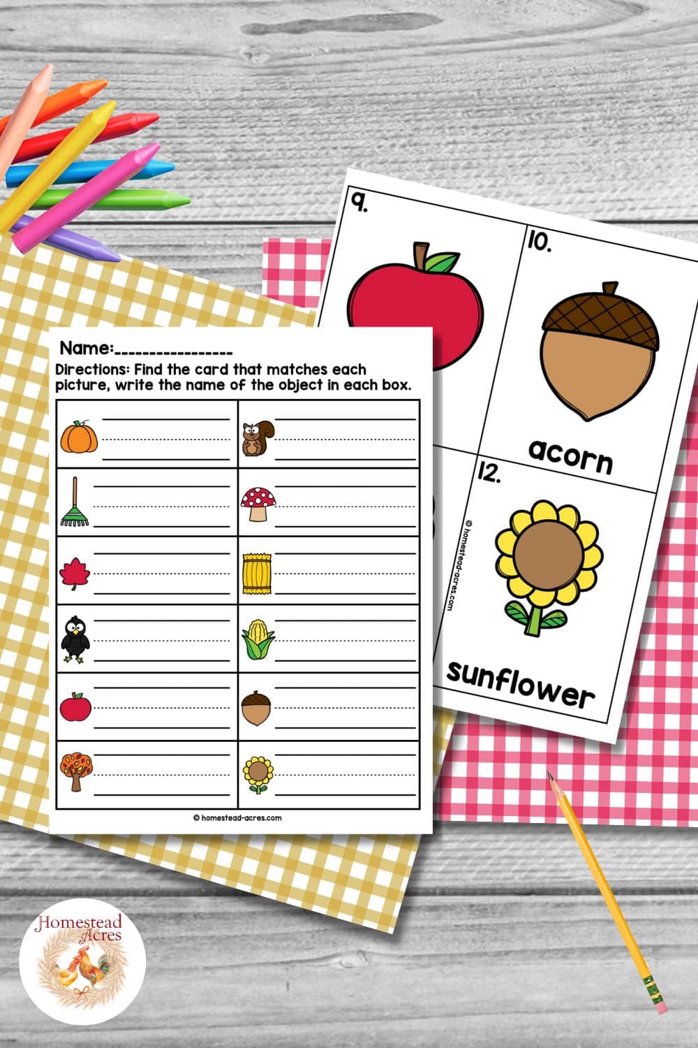 Fall write the room worksheet with picture matching spaces beside vocabulary cards for apple, acorn, and sunflower, arranged with colorful pencils and gingham paper.