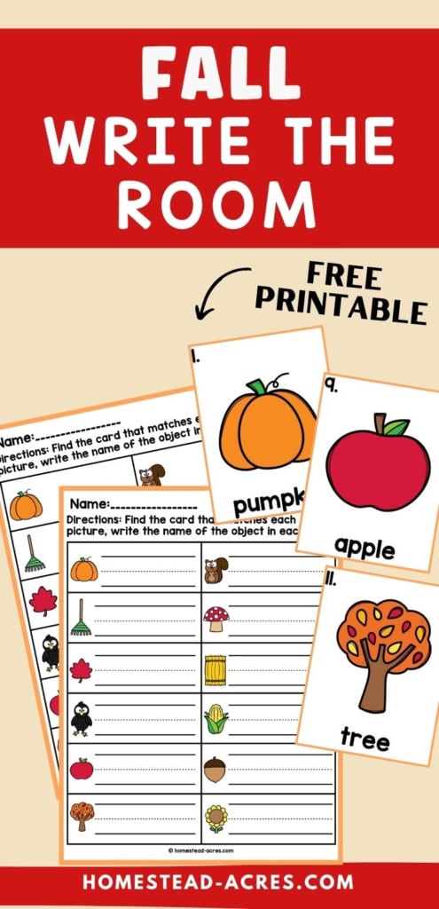 Fall write the room printable with worksheet pages and autumn picture cards for pumpkin, apple, tree, squirrel, rake, leaf, crow, mushroom, hay bale, corn, acorn, and sunflower. Text reads "FALL WRITE THE ROOM", "FREE PRINTABLE", and "Directions. Find the card that matches each picture, write the name of the object in each box".