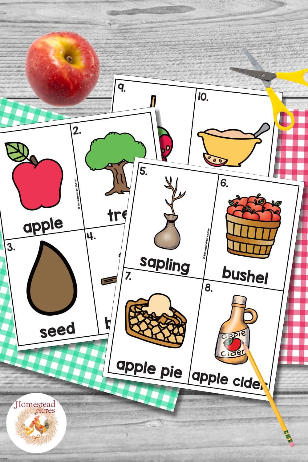 Color versions of Johnny Appleseed word cards before cutting them apart, showing apple, tree, seed, sapling, bushel, apple pie, apple cider, candy apple, and applesauce. The cards are arranged with a red apple, scissors, pencil, and gingham paper.