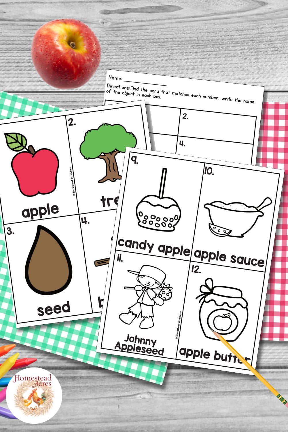 Johnny Appleseed write the room activity with vocabulary cards for apple, tree, seed, candy apple, applesauce, Johnny Appleseed, and apple butter beside a matching worksheet and a red apple.