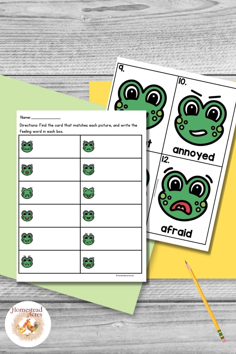 Frog feelings write the room worksheet with small expressive frog faces in boxes for children to match with emotion word cards.