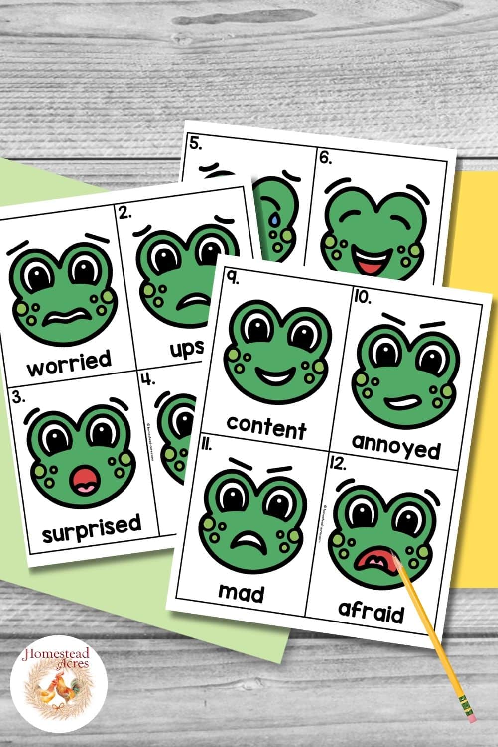 Color frog emotion cards with expressive green frog faces showing different feelings for a printable feelings activity.