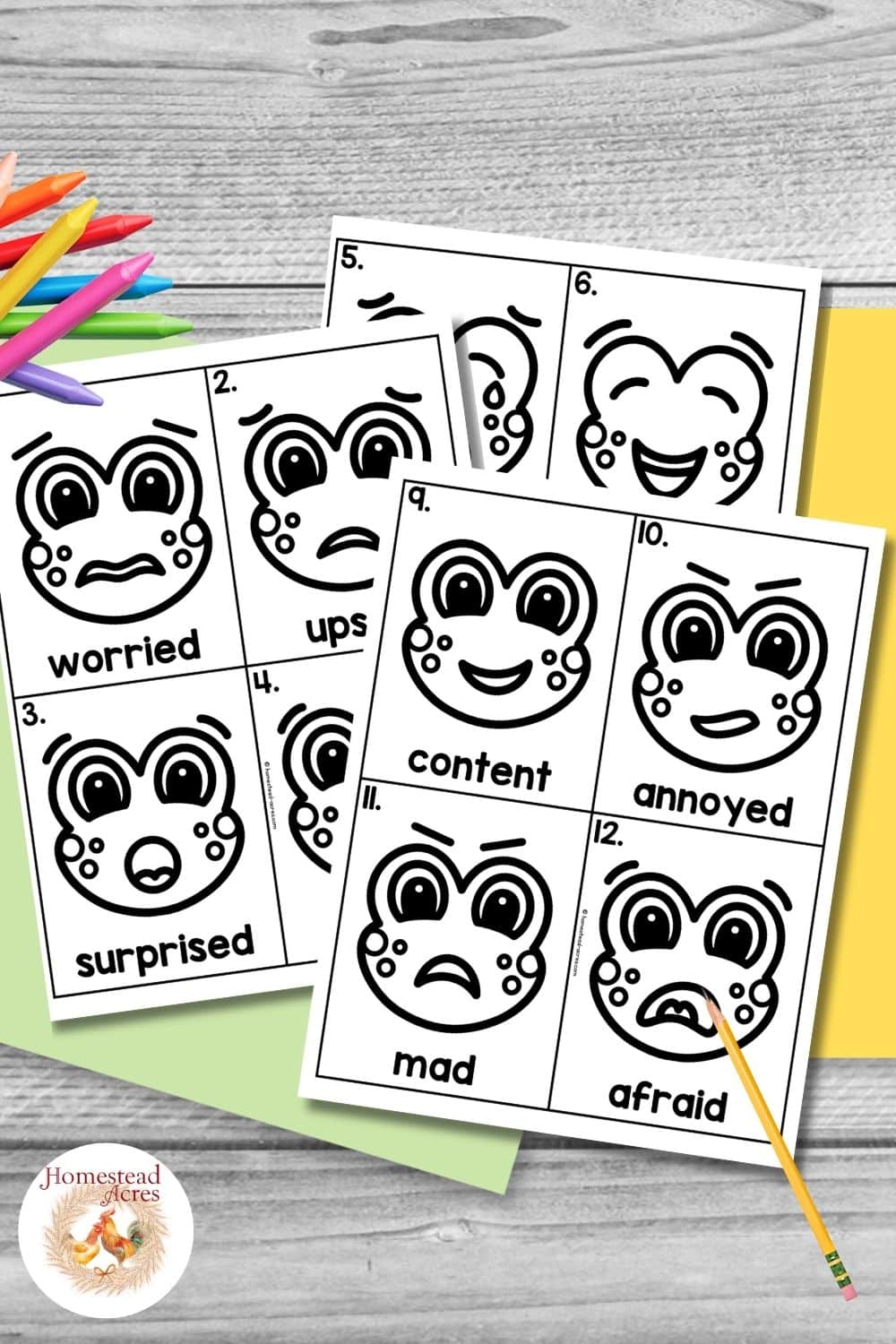 Black and white frog emotion cards with expressive frog faces showing different feelings for a printable feelings activity.