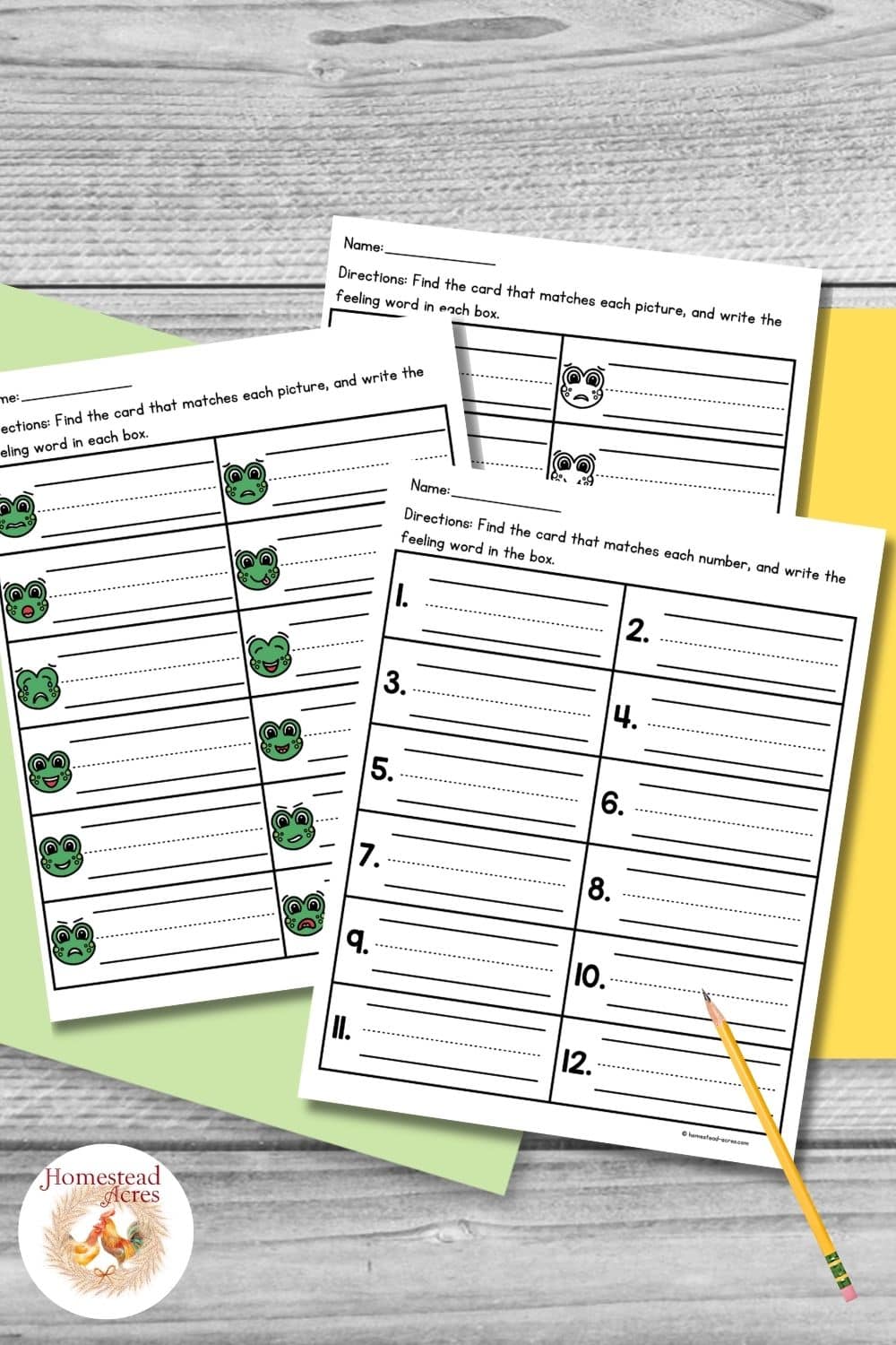 Color and black and white frog feelings write the room recording worksheets with expressive frog faces and lined spaces for children to write matching emotion words.