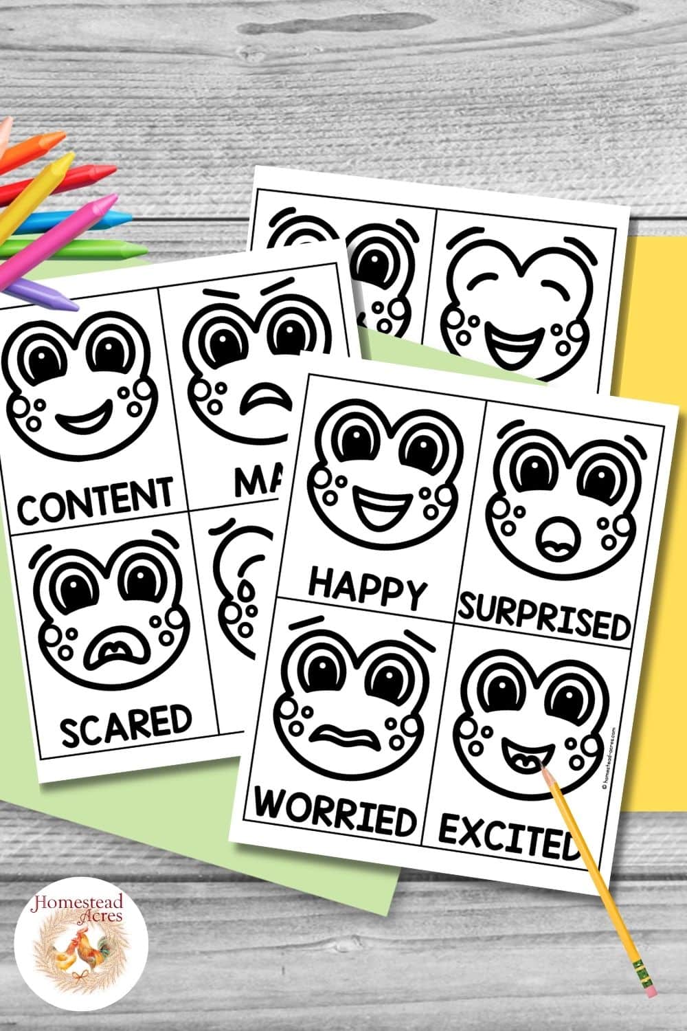 Black and white frog emotion cards with expressive frog faces for children to identify and color different feelings. Text reads "CONTENT". "MAD". "SCARED". "HAPPY". "SURPRISED". "WORRIED". "EXCITED".
