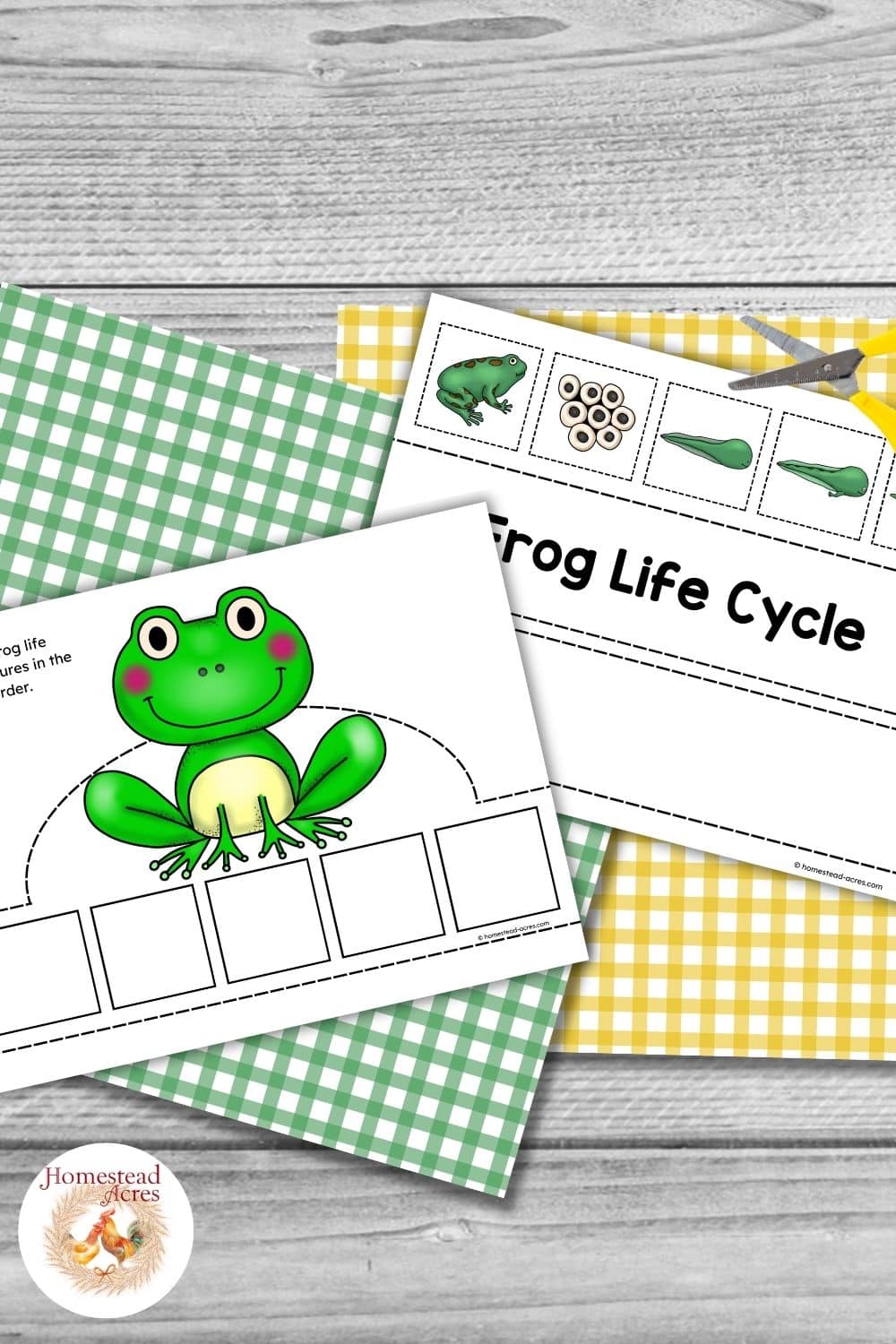 Printable frog life cycle crown activity in color with a smiling frog crown template, five empty sequencing boxes, and cut out pictures showing frog, eggs, tadpole, and later frog life cycle stages.