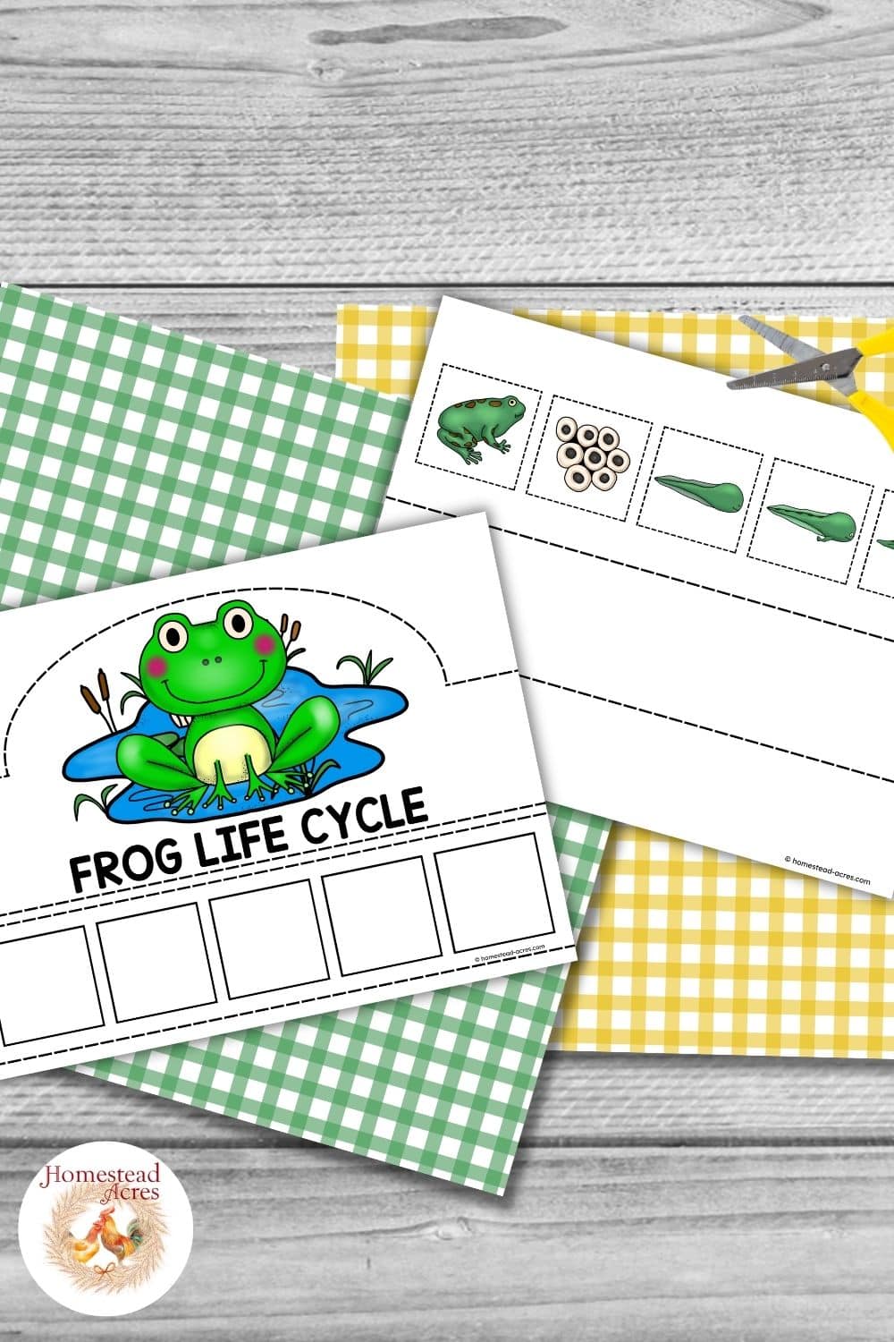 Printable frog life cycle crown activity in color with a frog crown template, five empty sequencing boxes, and cut out pictures showing frog, eggs, tadpole, and later frog life cycle stages.