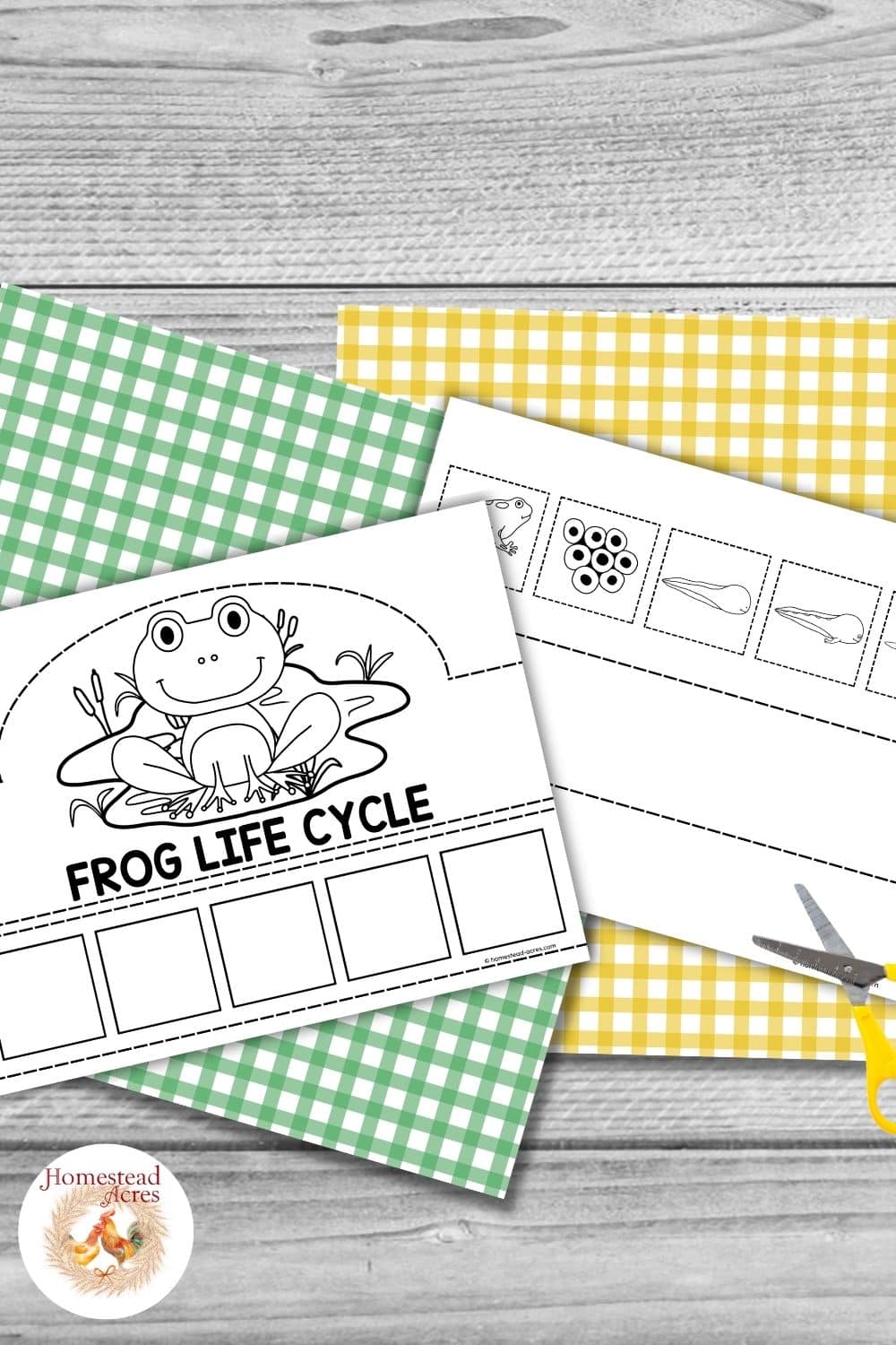 Printable frog life cycle crown in black and white with a frog crown template, five empty sequencing boxes, and cut out pictures for frog, eggs, tadpole, and later frog life cycle stages.