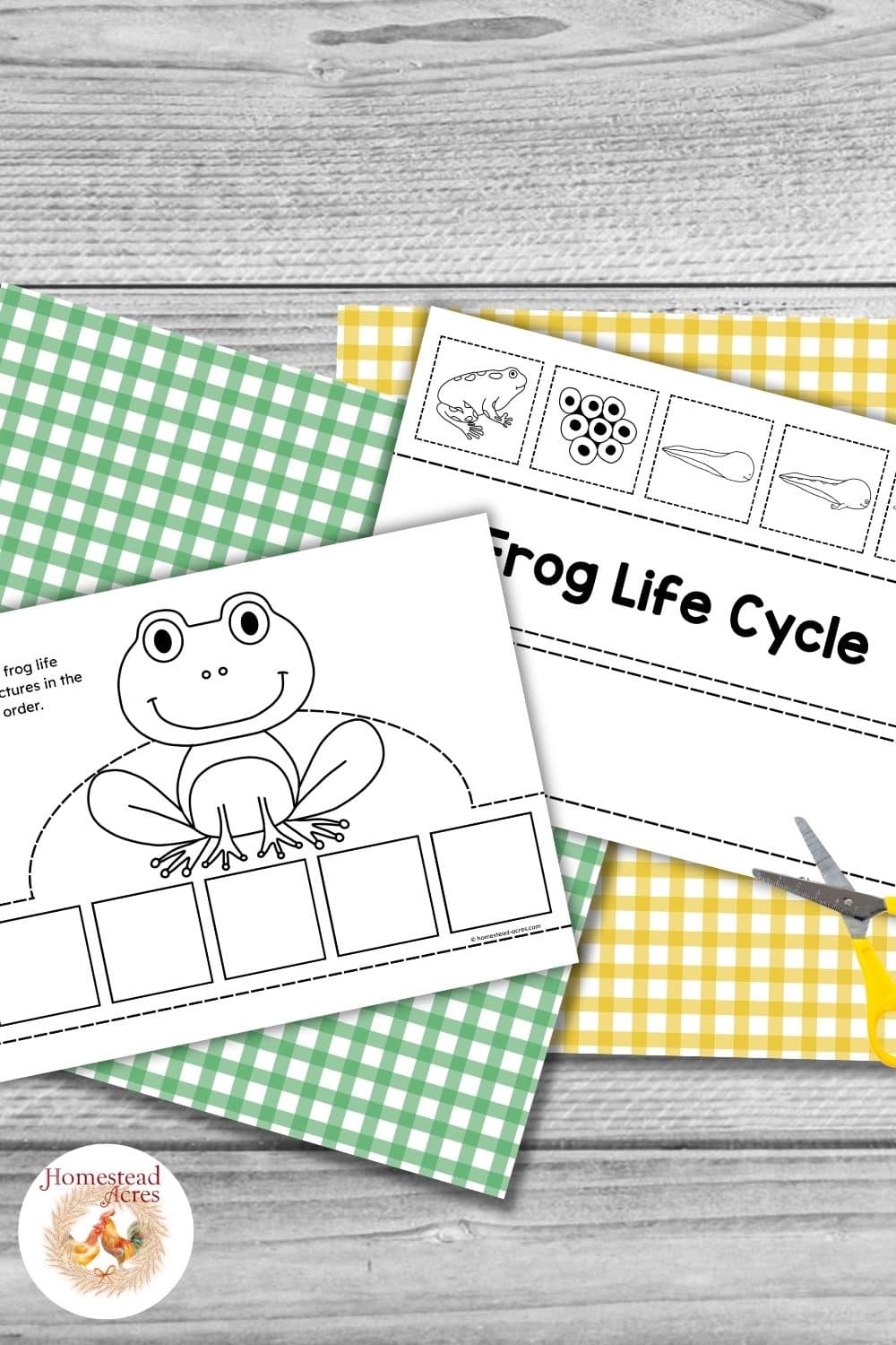 Printable frog life cycle crown activity in black and white with a frog crown template, five empty boxes for sequencing the stages, and a matching strip of cutout life cycle pictures.