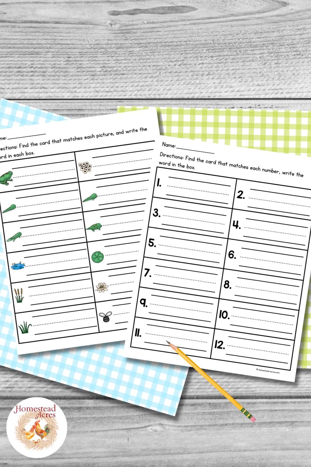 Frog life cycle write the room recording worksheets with one page showing picture prompts and another page with numbered writing spaces from 1 through 12.